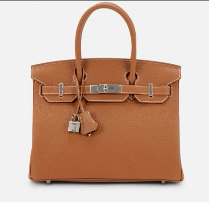 Birkin Brown Handbag